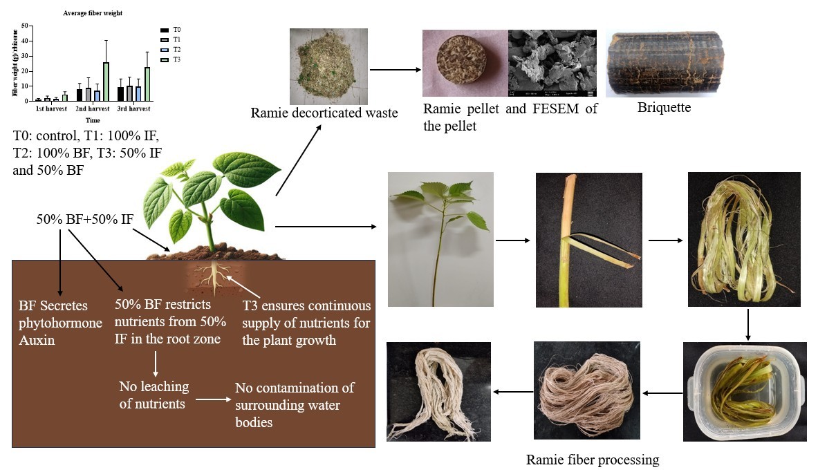 Enhancing Fiber Yield and Environmental Sustainability Through Integrated Fertilization Strategies and Waste Valorization of Ramie (Boehmeria nivea L.)