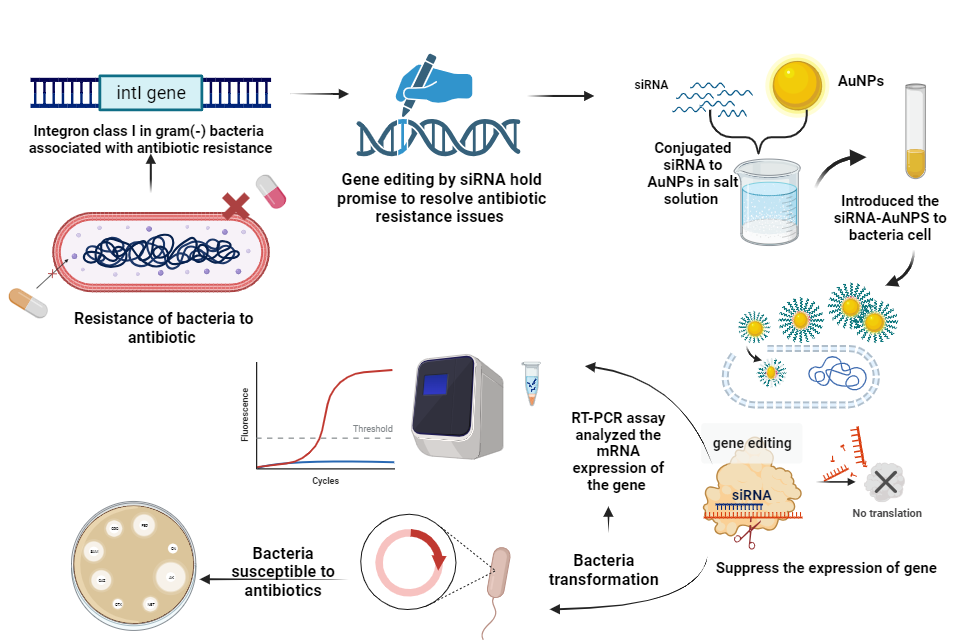 Effect of Conjugated siRNA-Gold Nanoparticles on Antibiotic-Resistance Integron Class I Gene