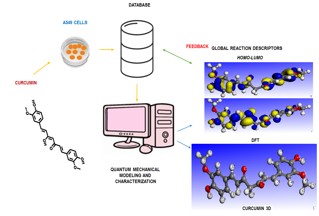 Graphical Abstract
