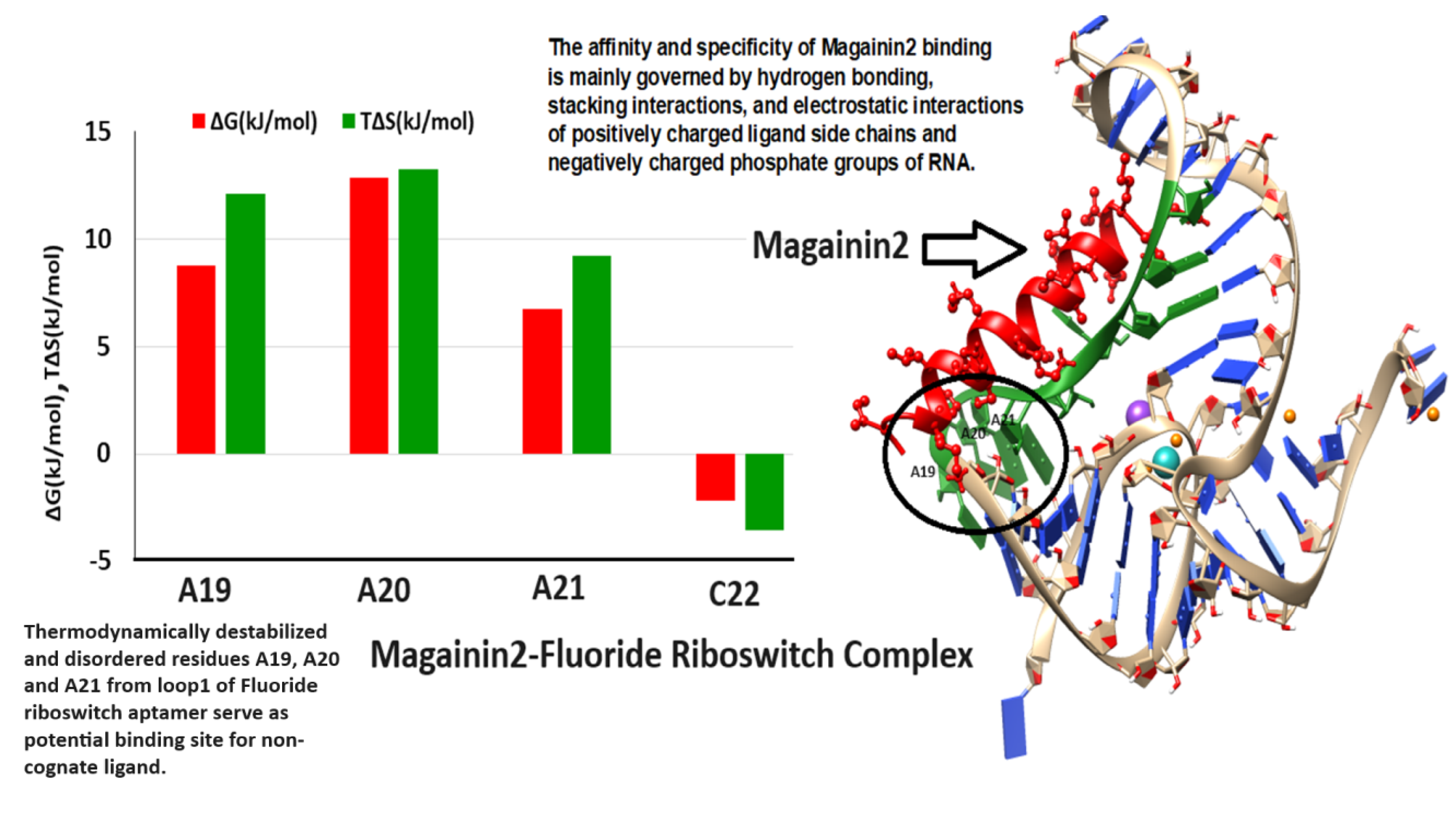 Graphical Abstract