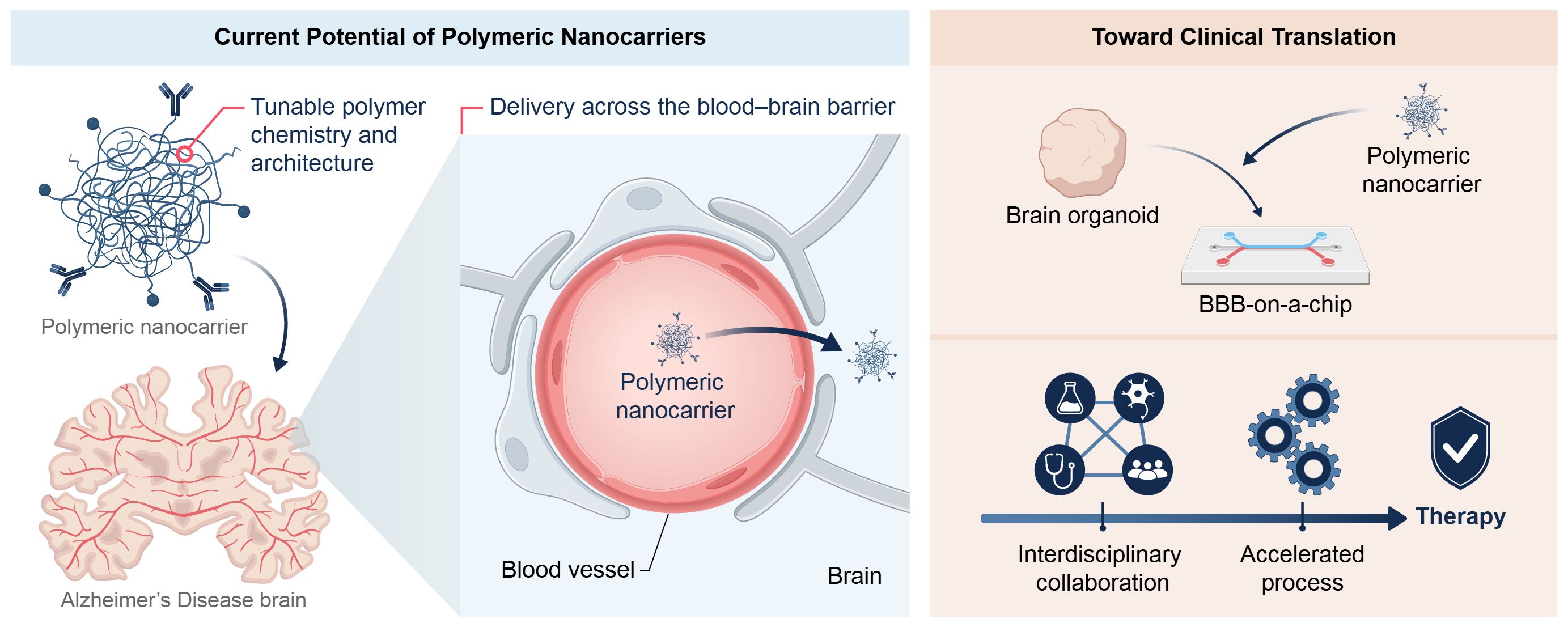 Graphical Abstract