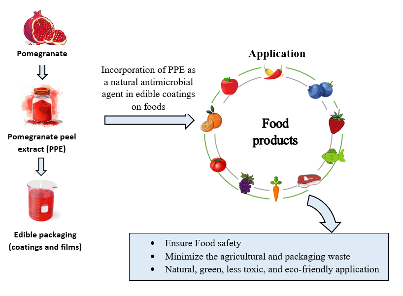 Graphical Abstract