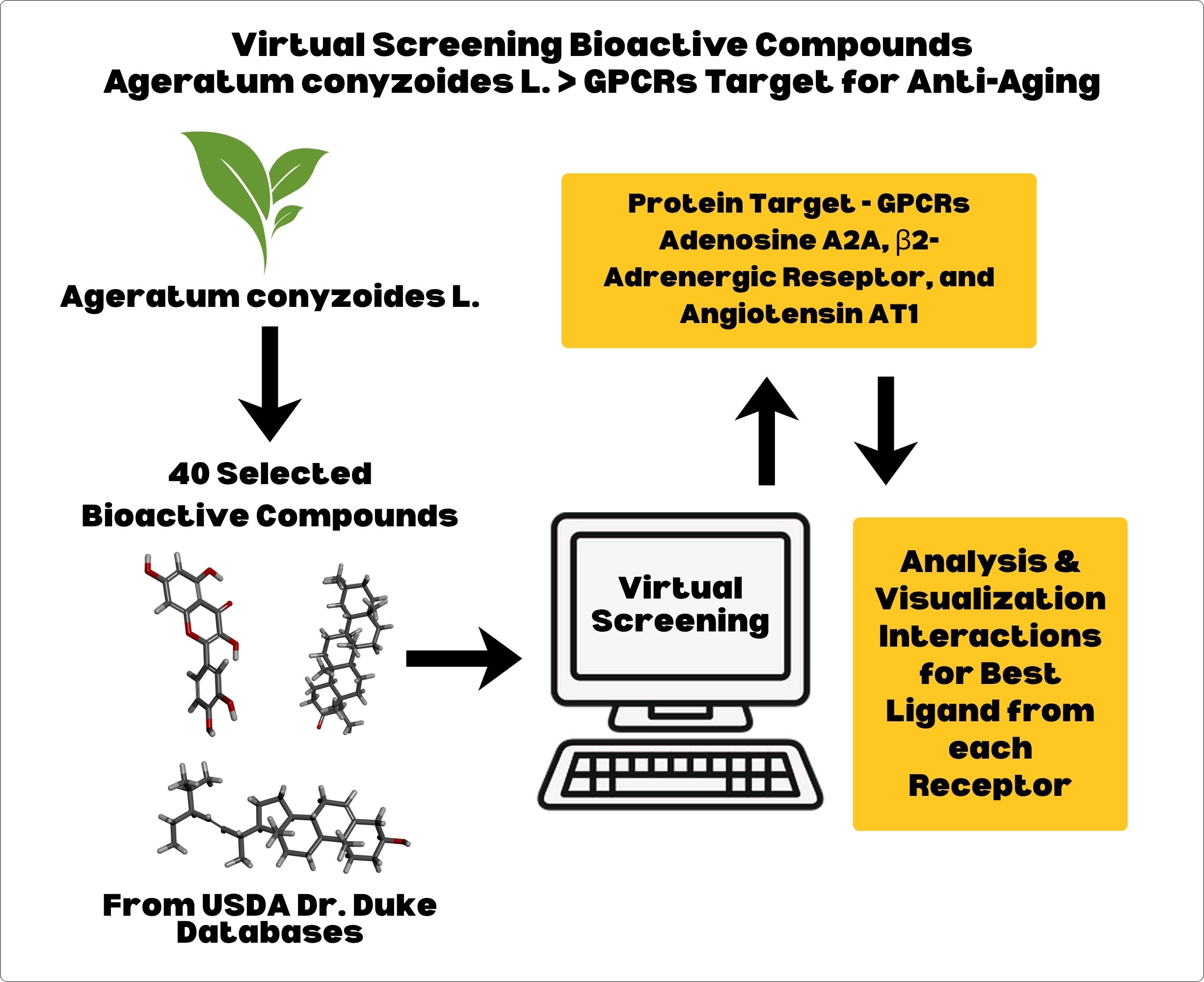 Graphical Abstract