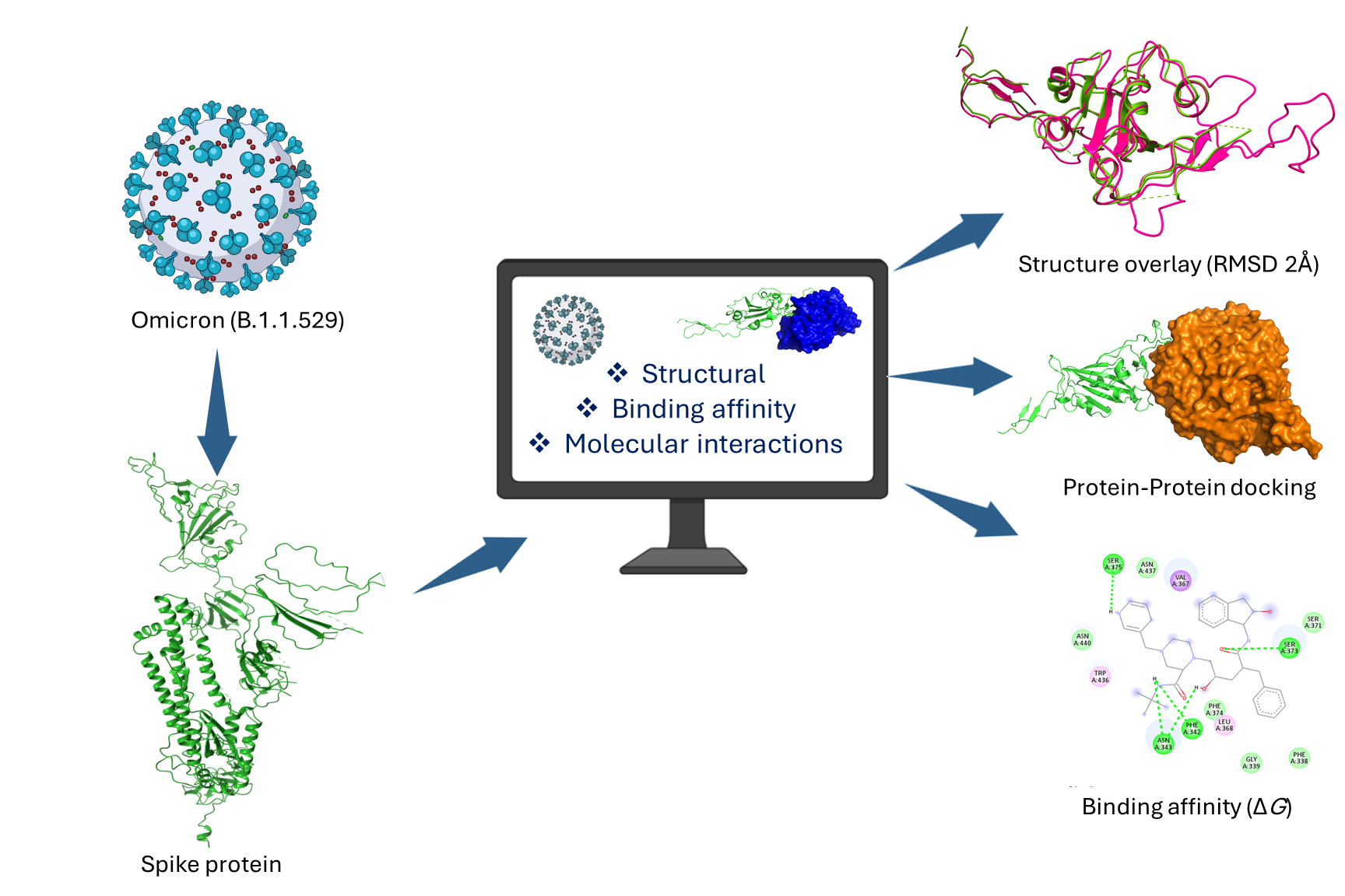 Graphical Abstract