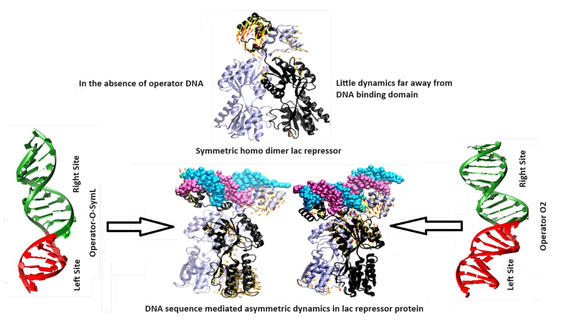 Graphical Abstract