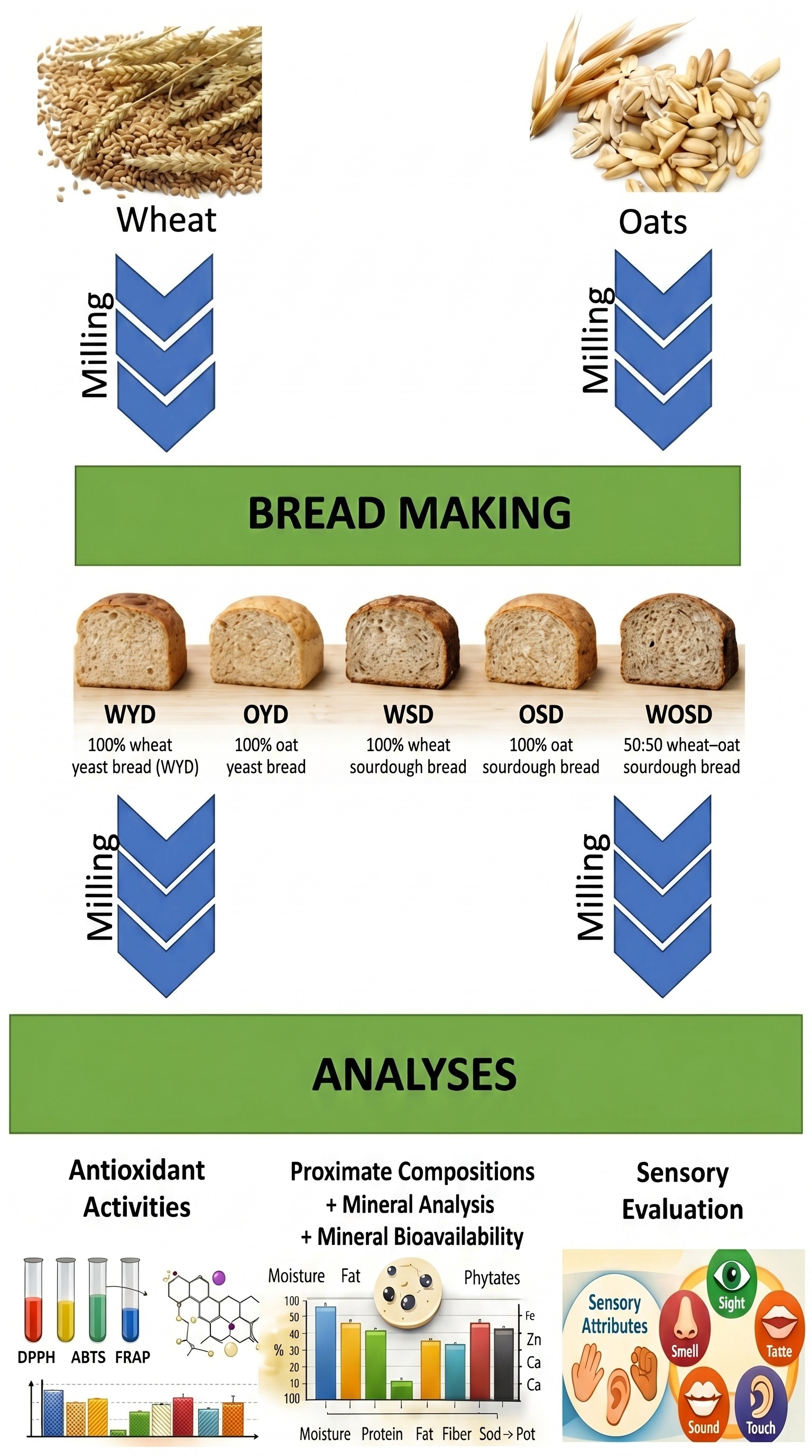 Graphical Abstract