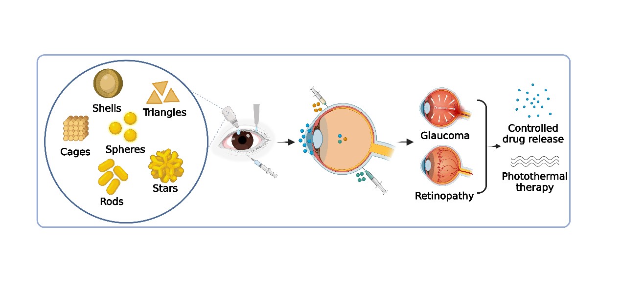 Graphical Abstract
