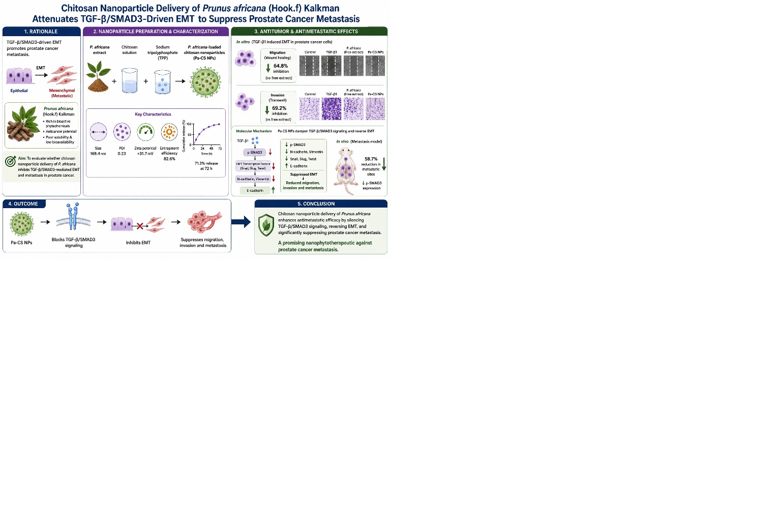 Graphical Abstract