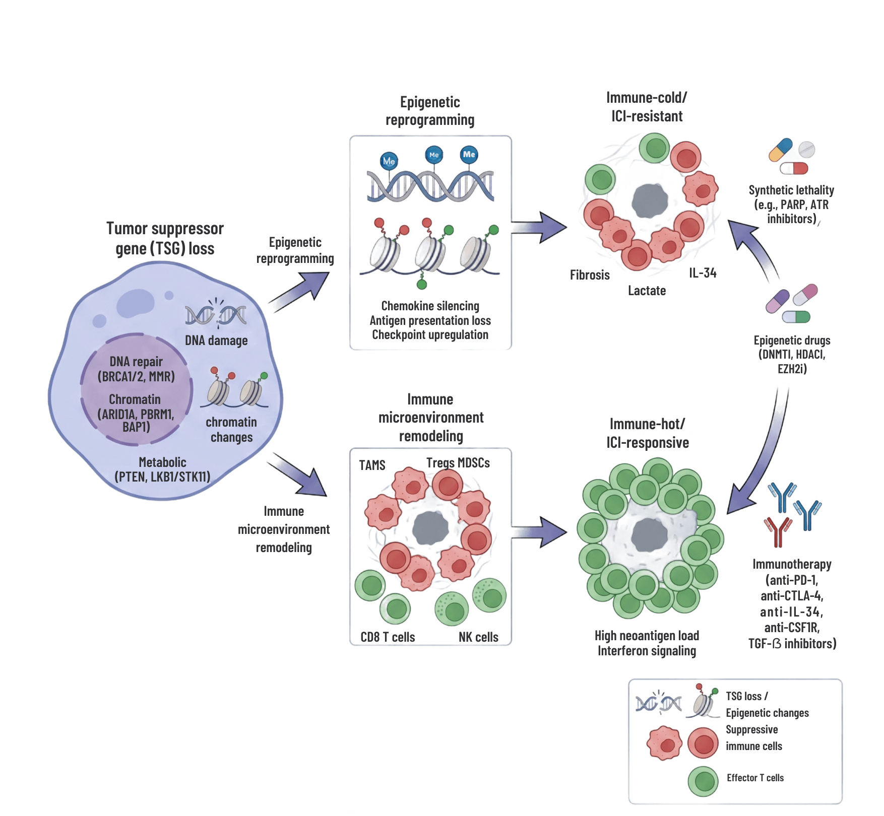 Graphical Abstract