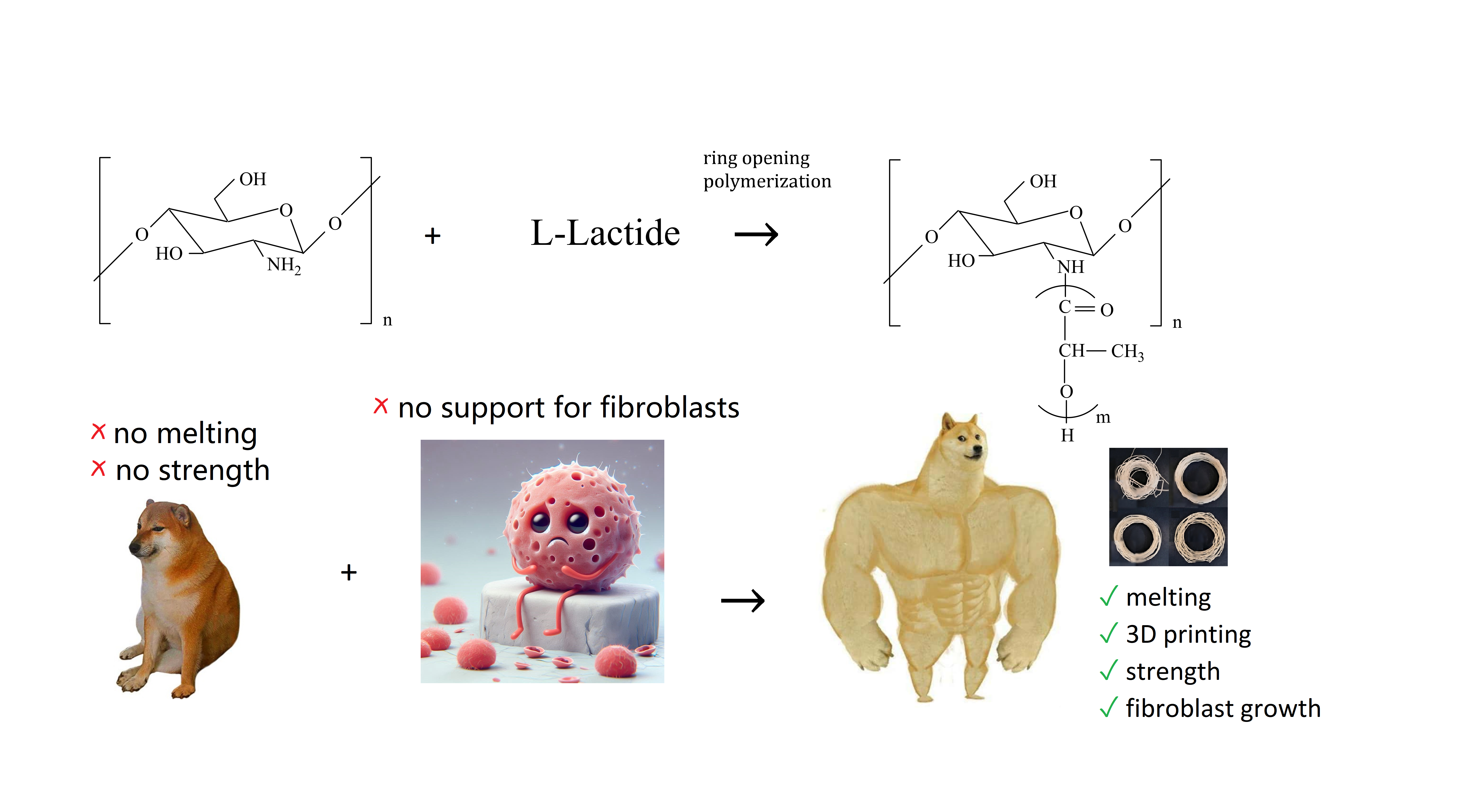 Graphical Abstract