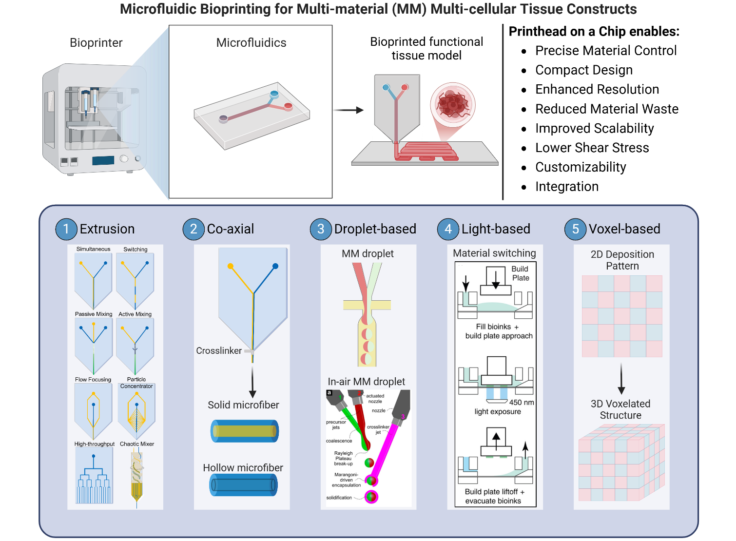 Advances in Microfluidic Bioprinting for Multi-Material Multi-Cellular Tissue Constructs