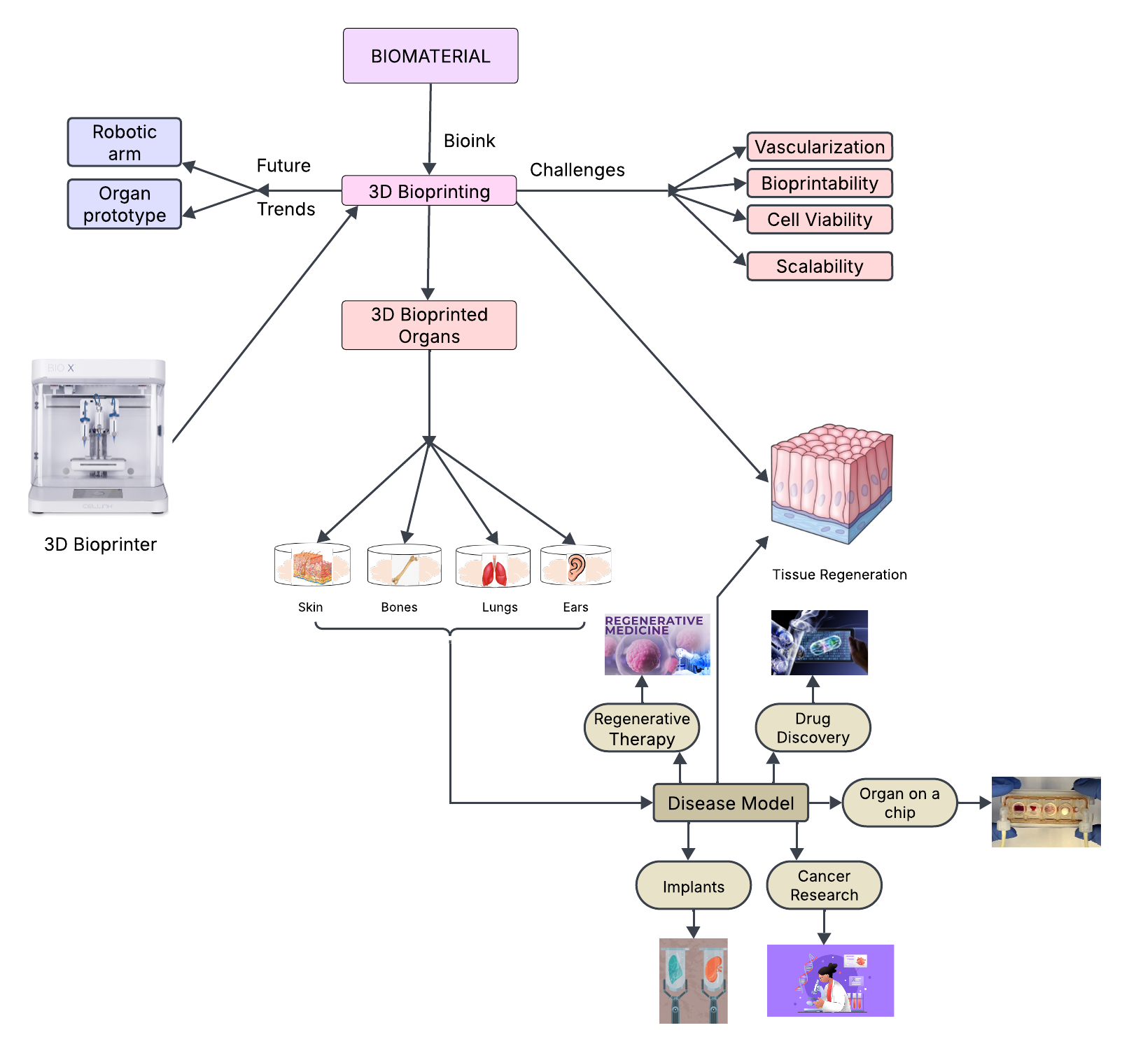 Current Standing and Future Potential of 3D Bioprinting and Biomaterials