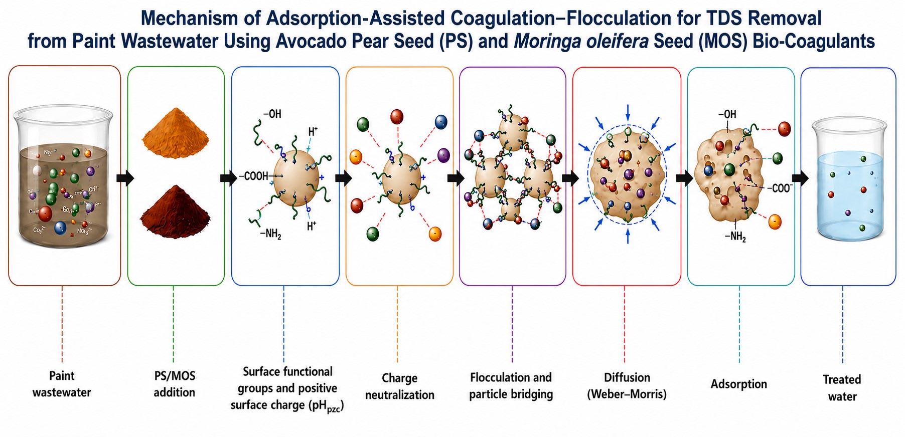 Graphical Abstract