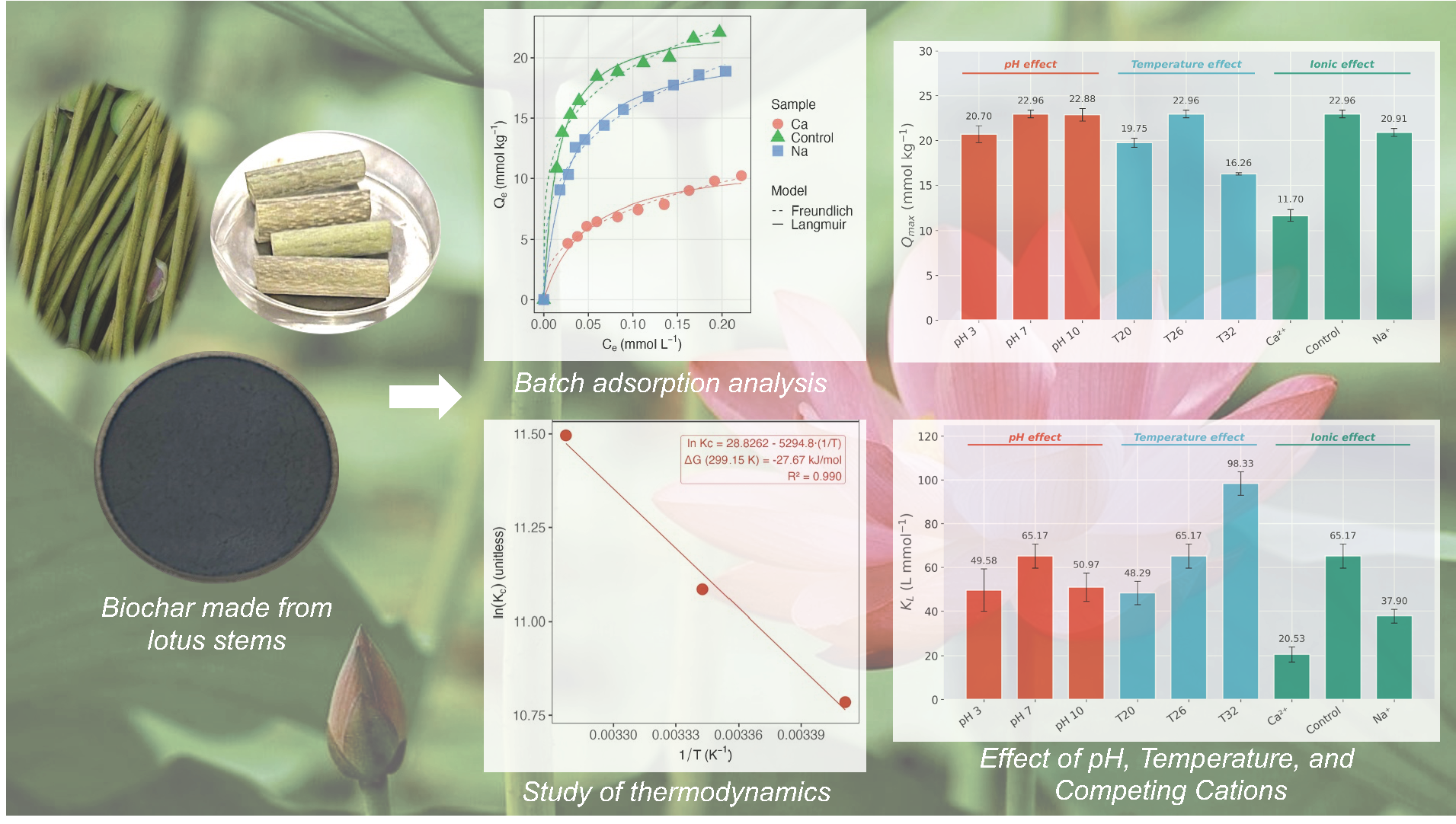 Adsorption of Ciprofloxacin onto Lotus Stem-Derived Biochar: Effects of Solution pH, Temperature, and Coexisting Cations