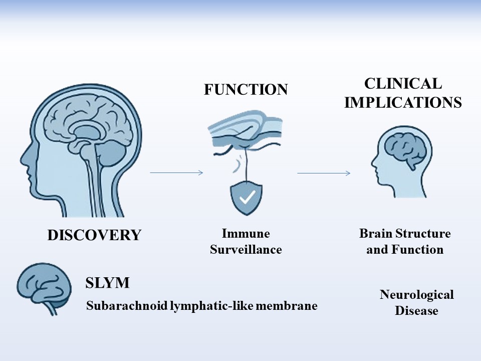 Graphical Abstract