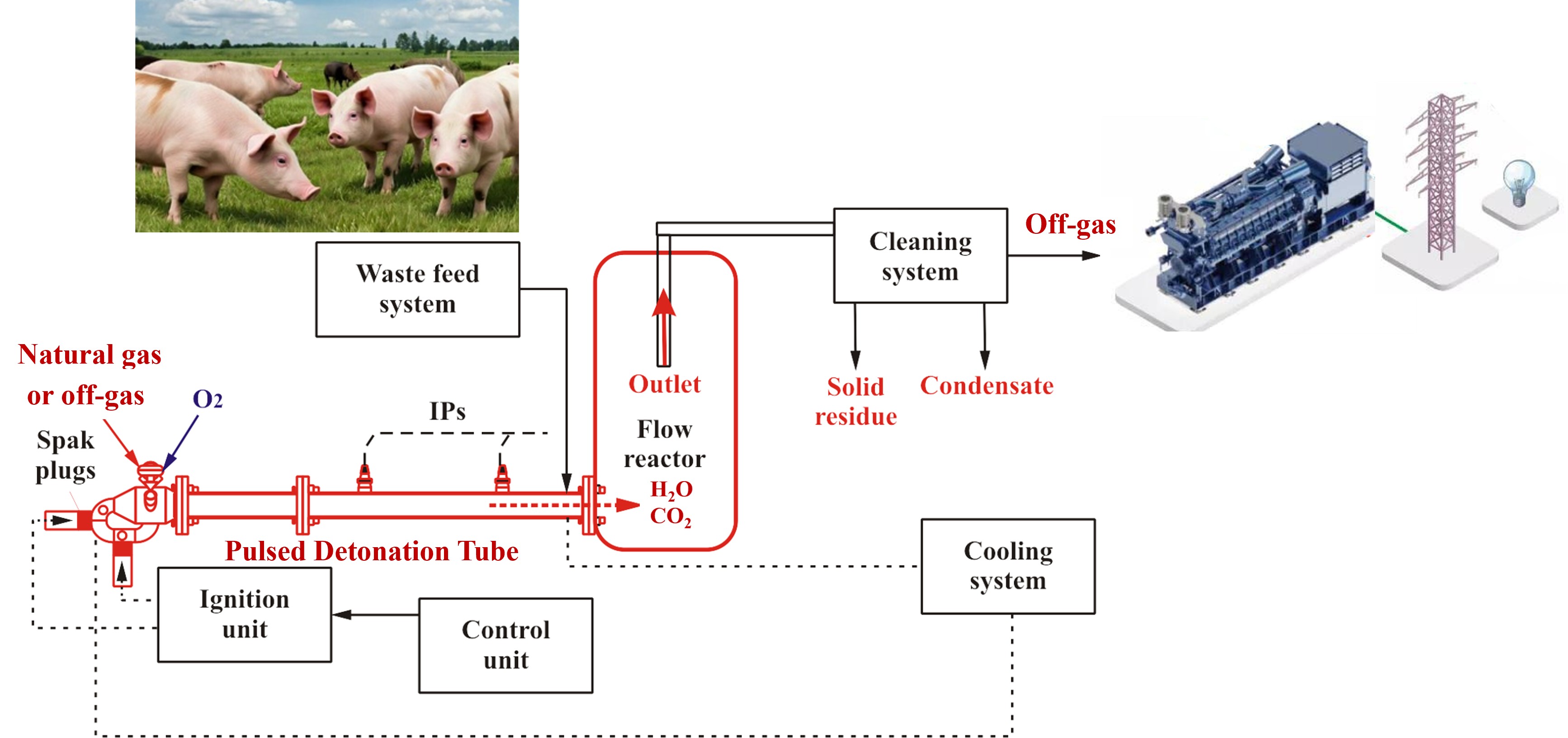 Graphical Abstract