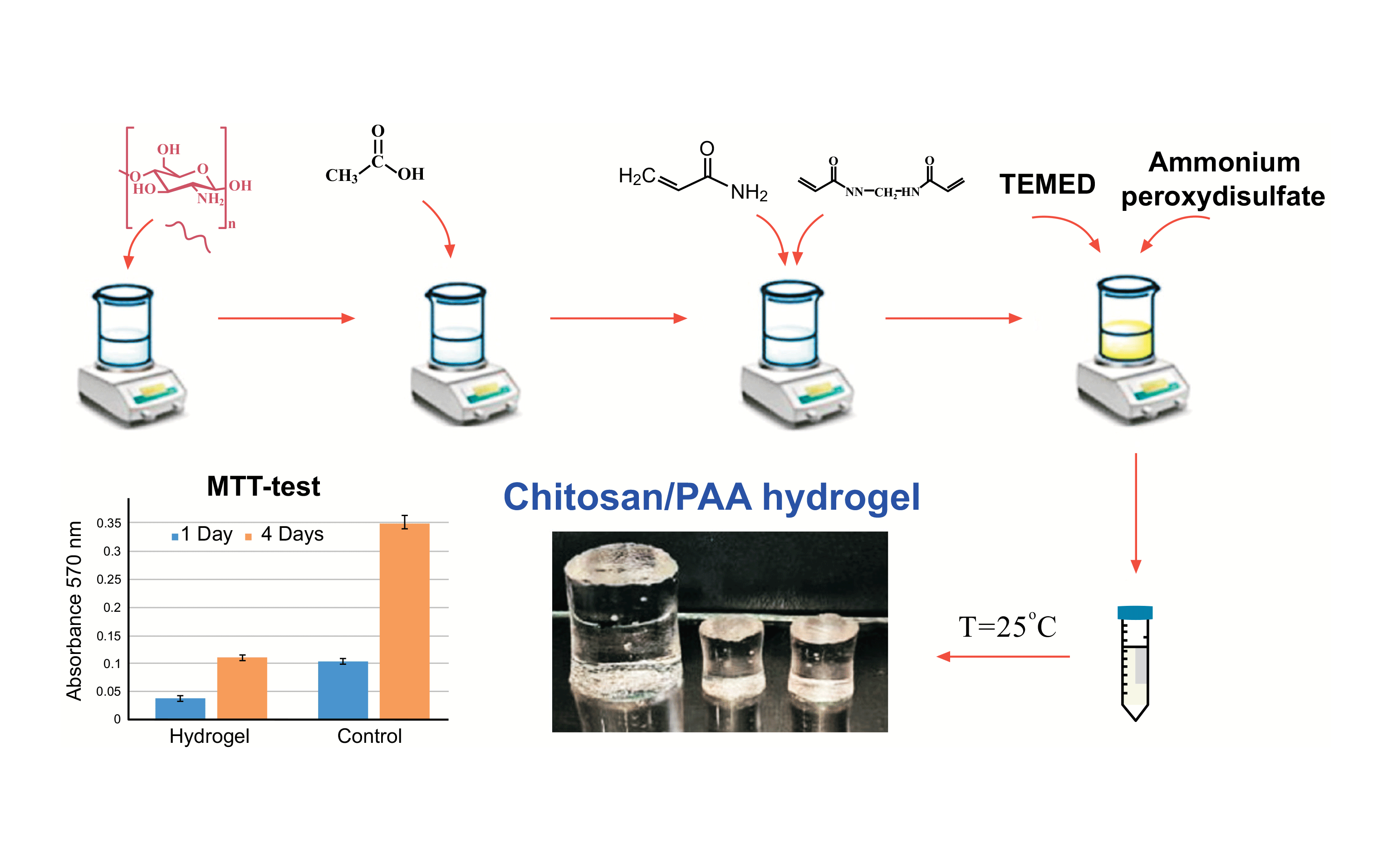 Preparation and Characterization of Biocompatible Hydrogels Based on a Chitosan-Polyacrylamide Copolymer