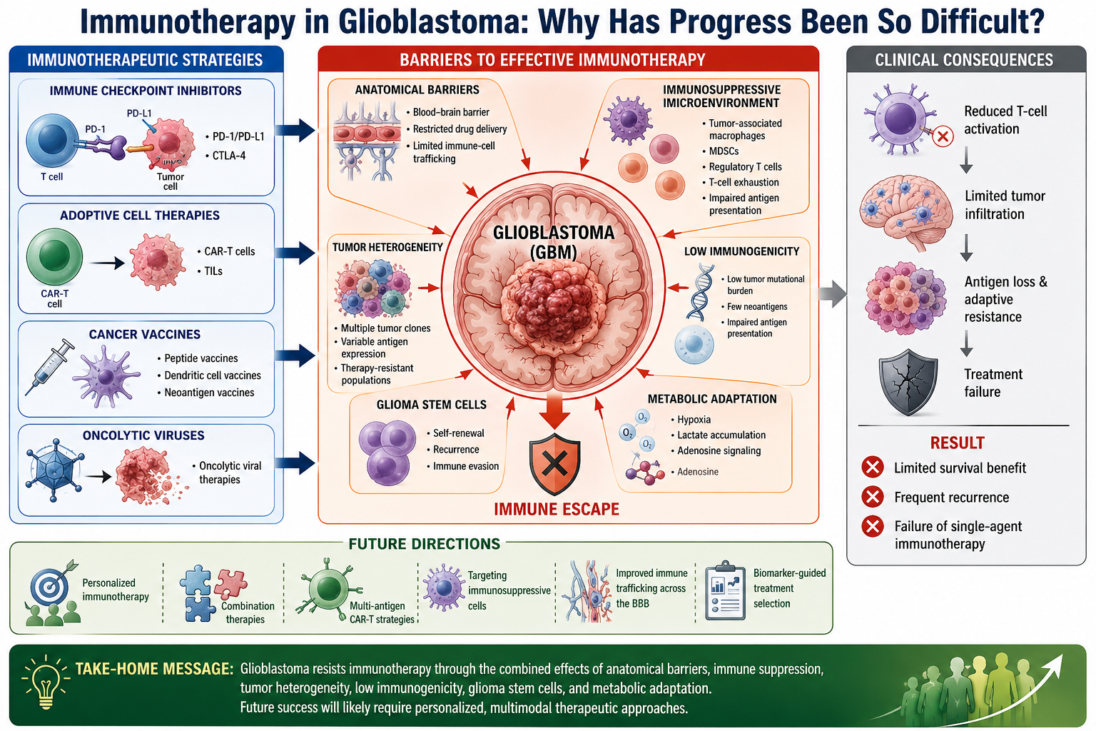 Immunotherapy in Glioblastoma: Why Has Progress Been So Difficult?