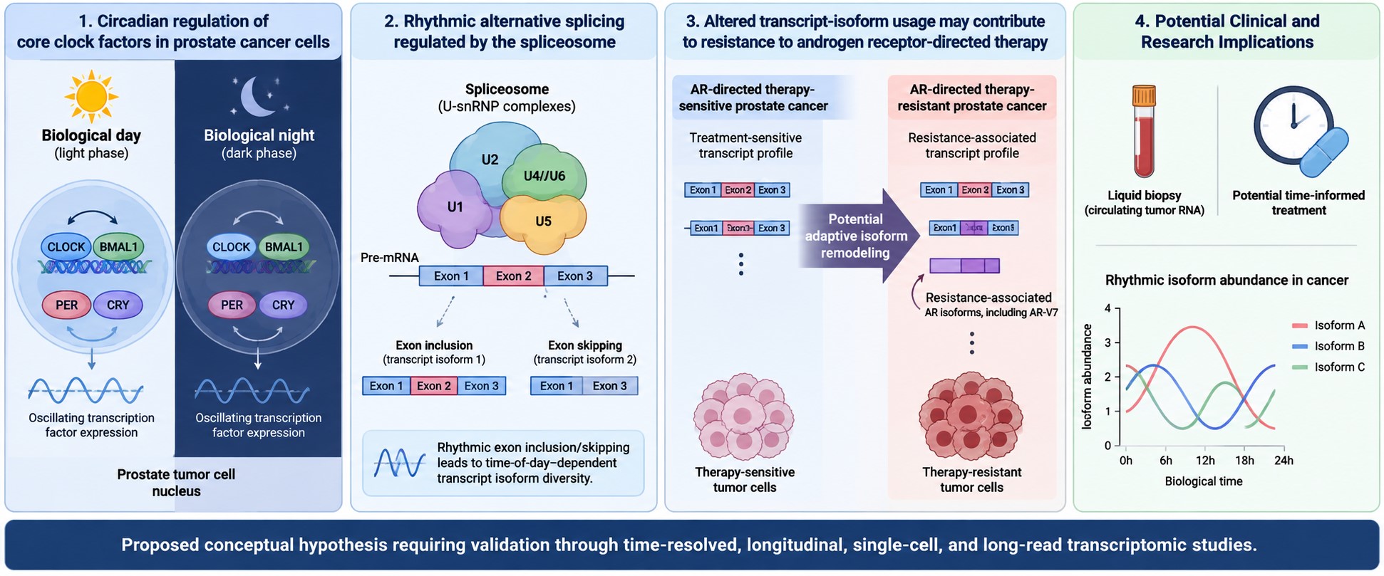 Graphical Abstract