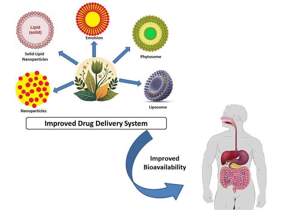 Graphical Abstract