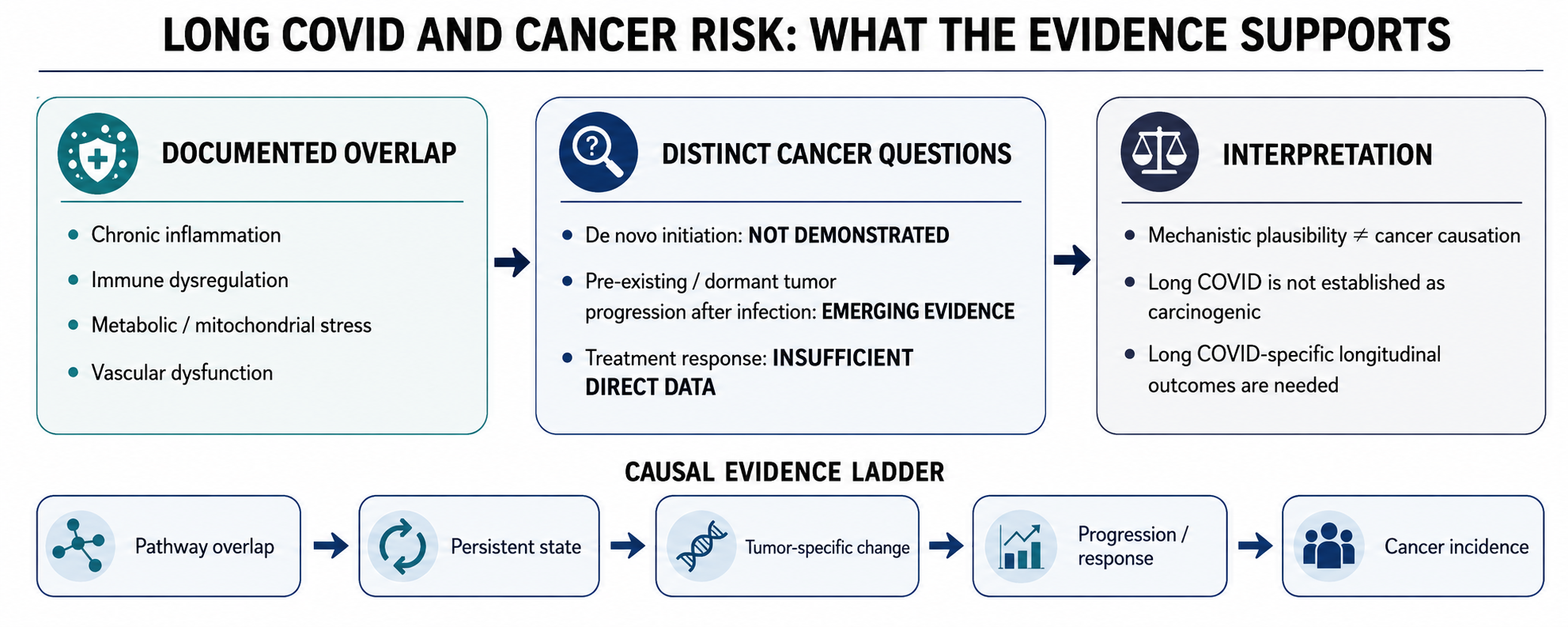 Graphical Abstract