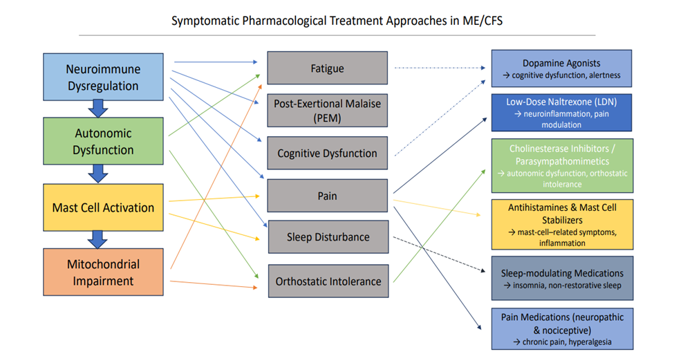 Graphical Abstract