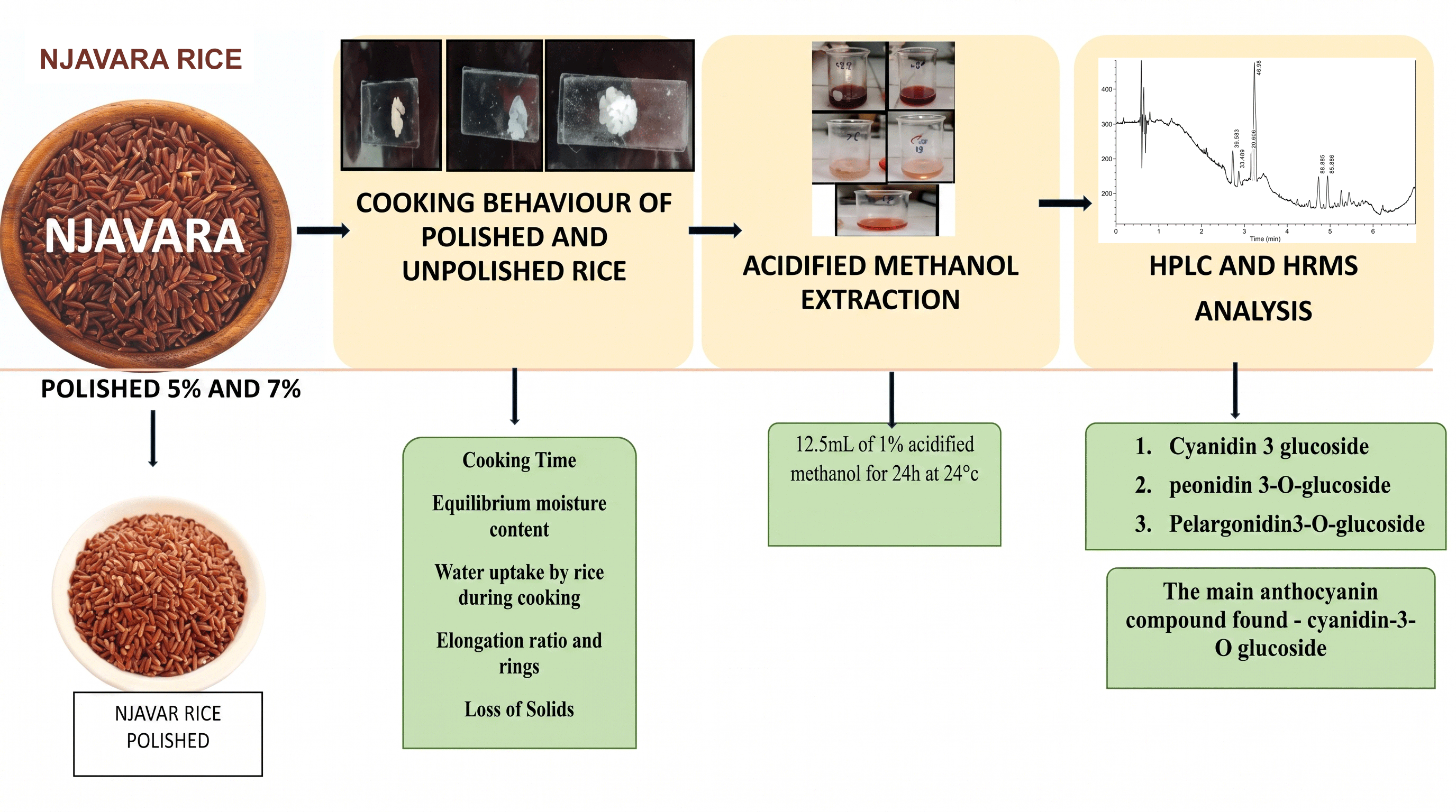 Graphical Abstract