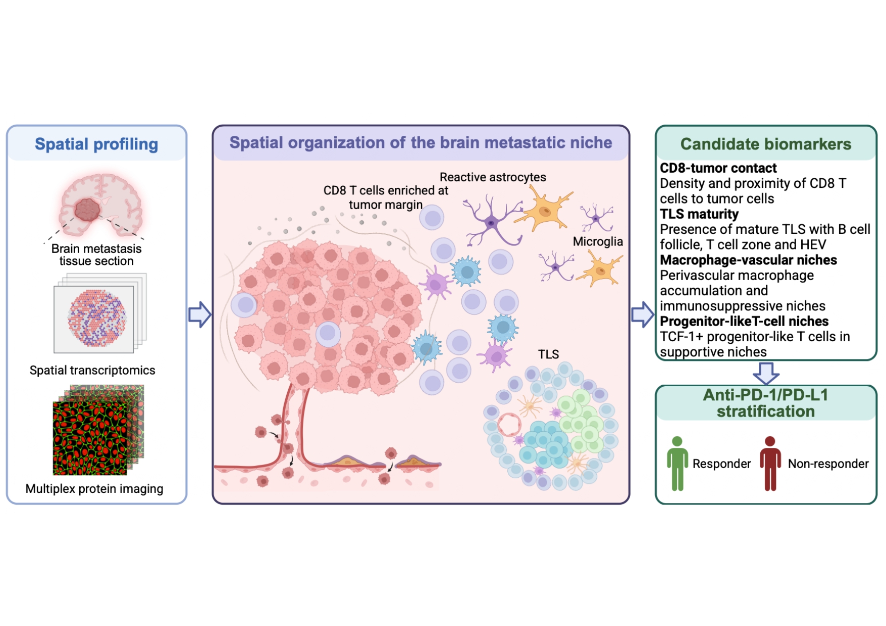 Graphical Abstract