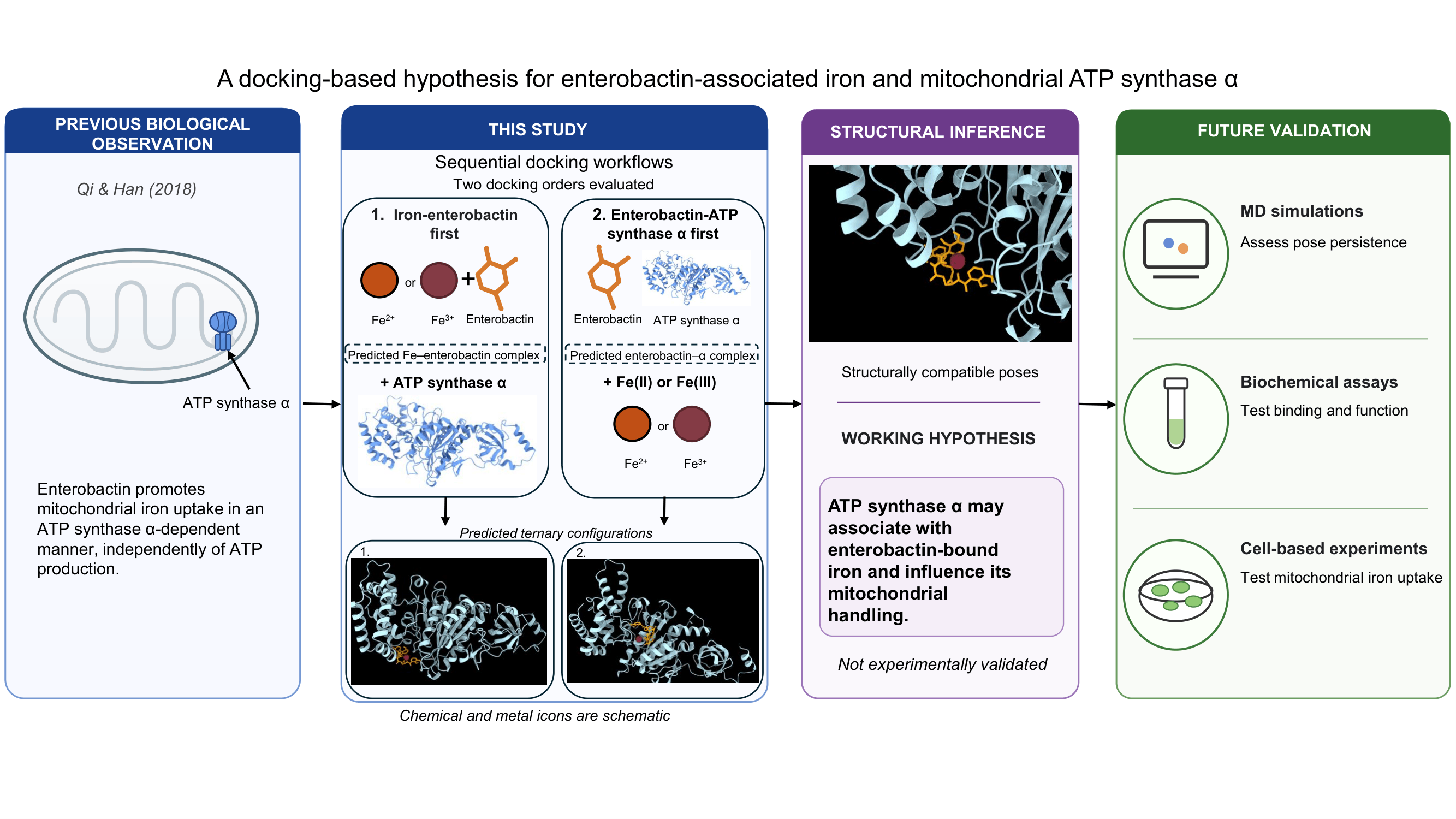Graphical Abstract
