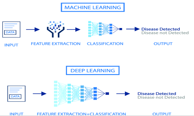 Graphical Abstract