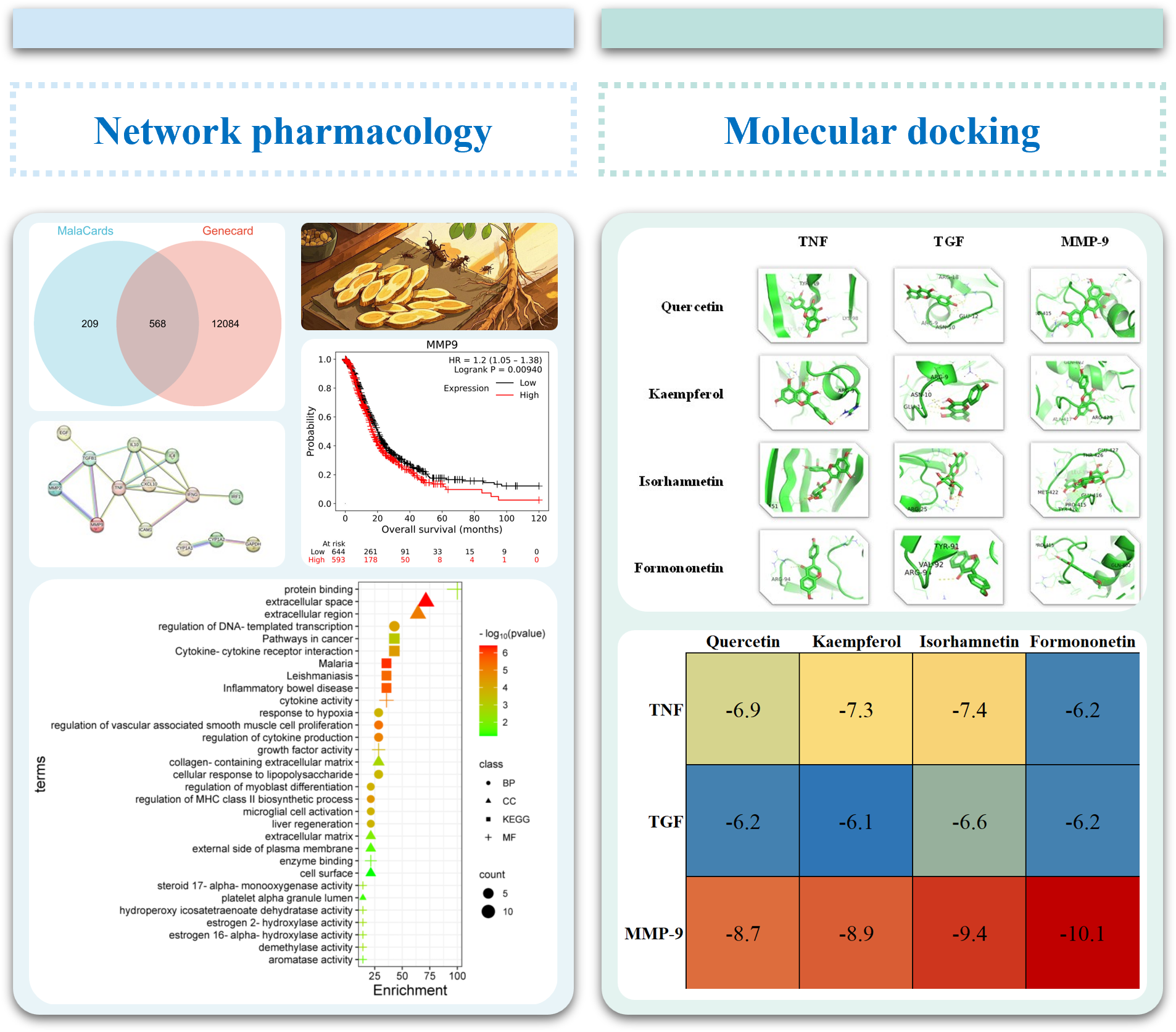 Food and Medicine Homology Substance in Cancer Treatment: Mechanism of Astragalus against Pancreatic Cancer