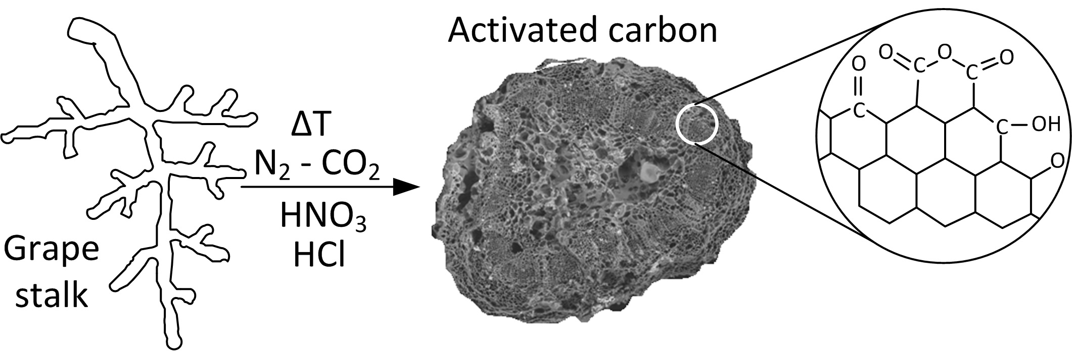 Porous Structure and Characterization of Activated Carbons from the Grape Stalks