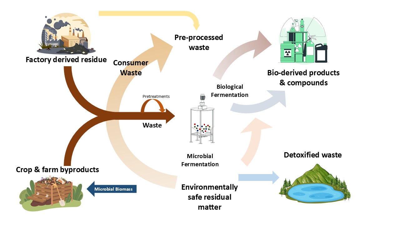 Microbial Bioremediation Strategies for Sustainable Wastewater Treatment