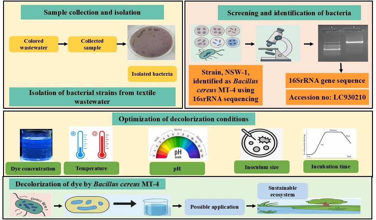 Effective Decolorization of Direct Blue-1 Dye by Bacillus cereus Isolate for Its Possible Application in Environmental Sustainability