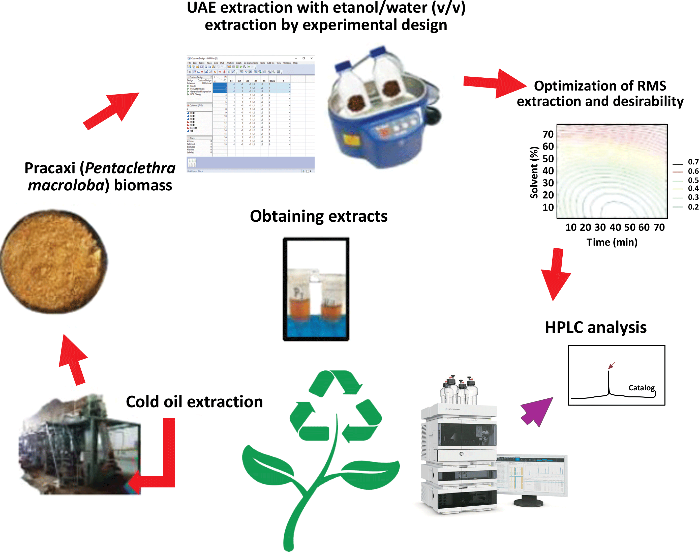 Sustainable Valorization of Amazonian Pracaxi (Pentaclethra macroloba (Willd.)) Residues via Optimized Ultrasound-Assisted Extraction of Bioactive Compounds