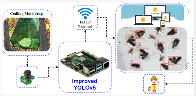 Enhancing Pest Management in Precision Agriculture: Integration of Improved YOLOv5 and IoT Technology for Efficient Codling Moth Detection