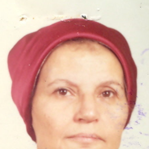 Laila A. Hussein