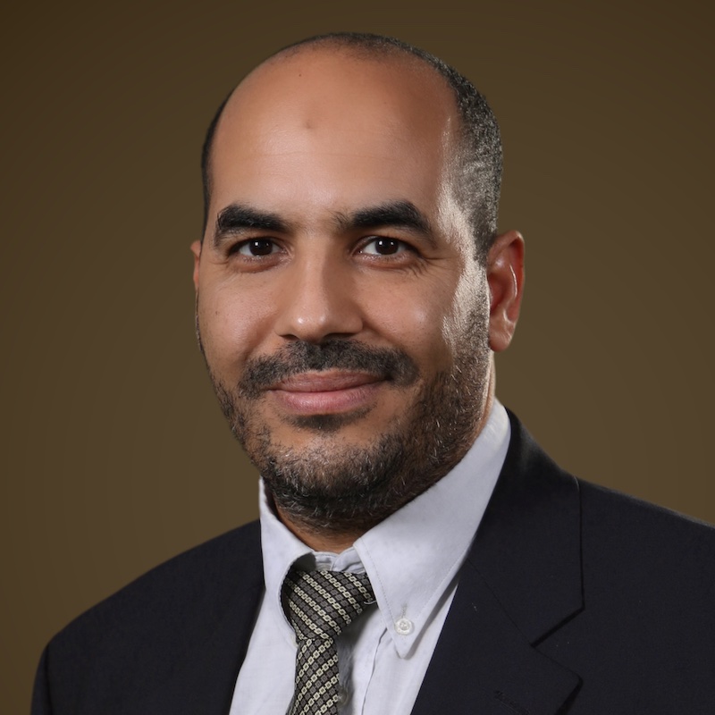 Ahmed Abdelali