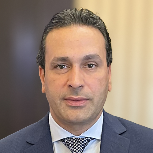 Essam M. Abdelalim