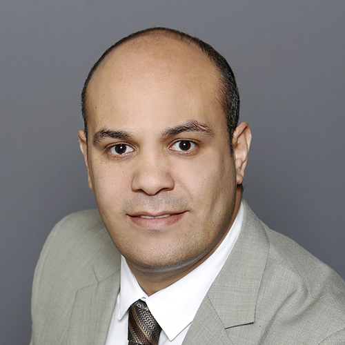 Ahmed A. El-Gendy