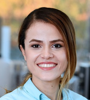 Sara Anjomani Virmouni
