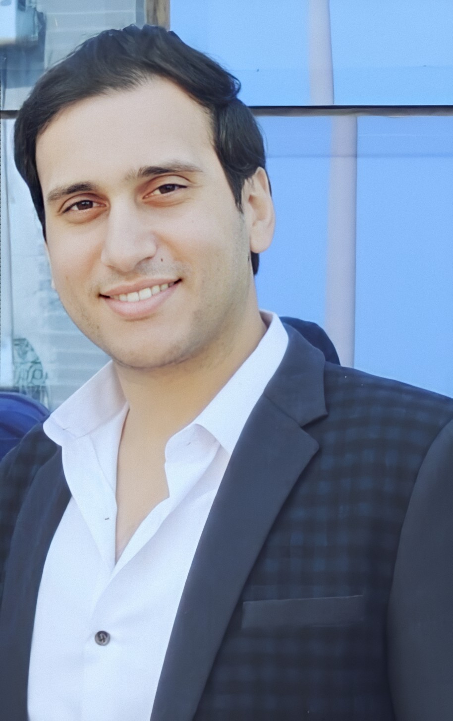 Ahmed A. Holiel