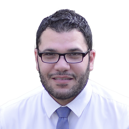 Mohamed Hussein Ziedan