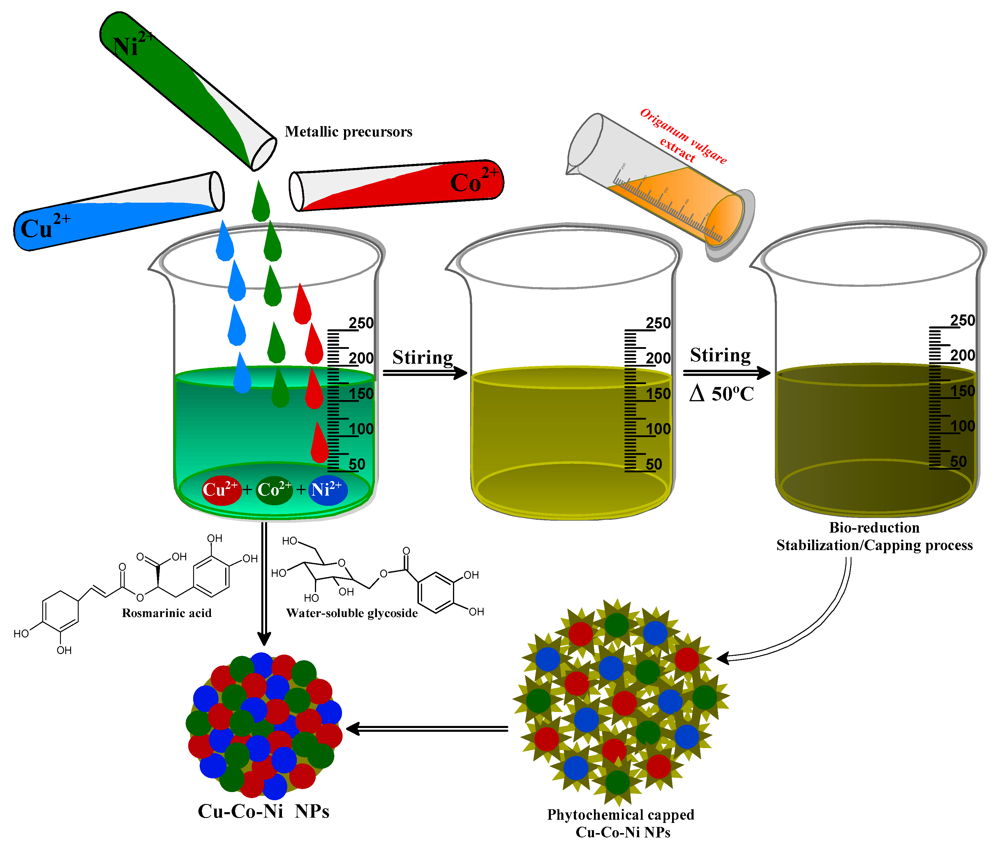 Figure 6: Illustrates the eco-friendly synthesis of Cu–Co–Ni trimetallic nanoparticles using Origanum vulgare extract. The phytochemical constituents, including rosmarinic acid and glycosides, act as reducing and stabilizing agents during the bio-reduction and capping process. (Adapted from Alshehri et al., 2020 [137] under the license of CC BY 4.0).