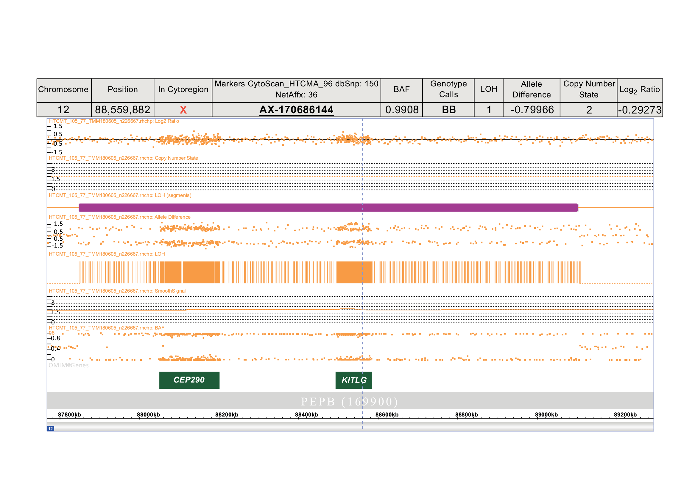 Figure 1: Analysis of the rs4590952 polymorphism in ChAS software (v.4.3.0.71). The region of interest on chromosome 12 is shown. The rs4590952 polymorphism (chr12:88559882 (GRCh38/hg38), CytoScan™ HT-CMA marker AX-17068144) is marked by the blue dashed line and is identified as having the BB (GG) allelic variant (panel above). An expanded view demonstrating that the KITLG gene is located within a region of loss of heterozygosity (LOH), approximately 1 megabase in size.