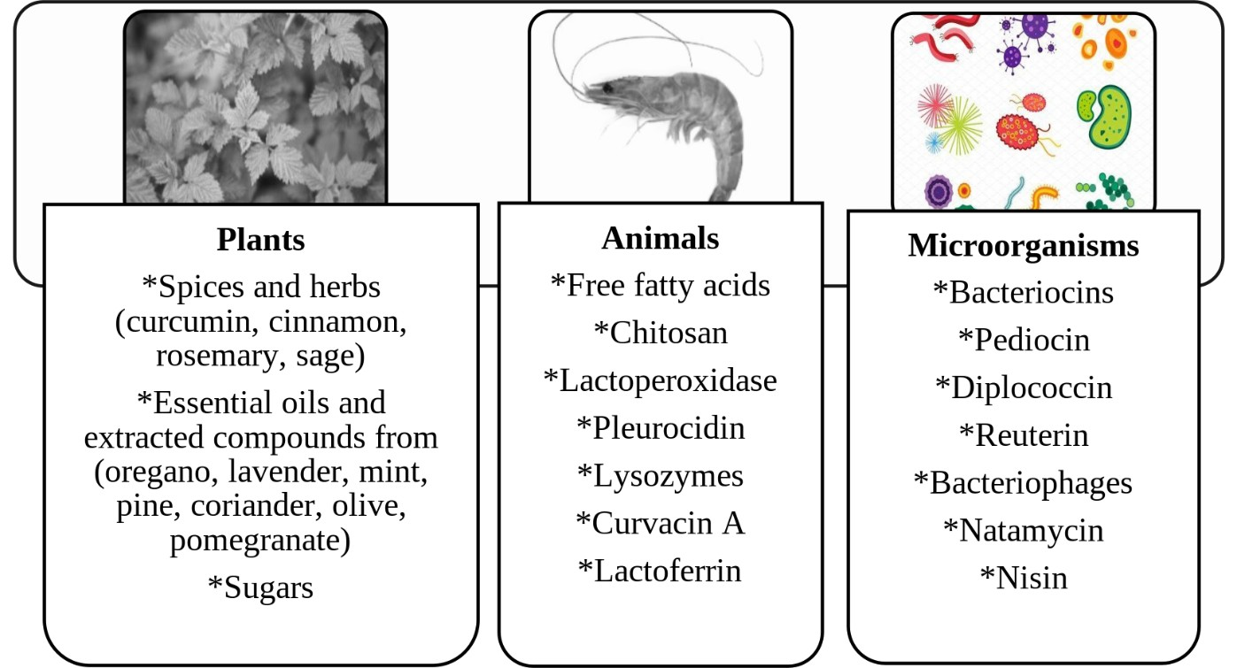 Figure 1: Sources of natural antimicrobials derived from plants, animals, and beneficial microorganisms.