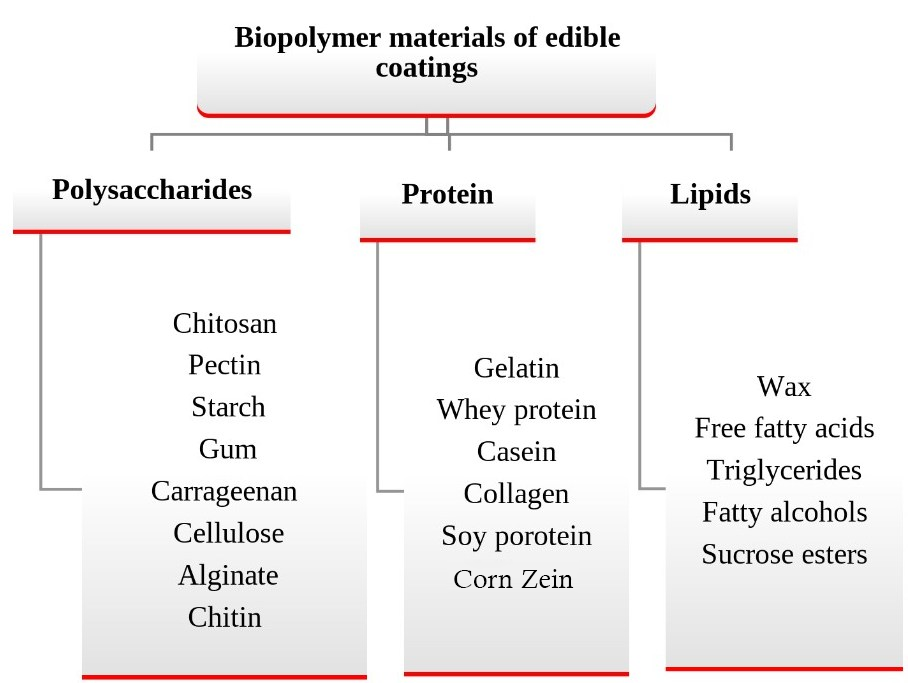 Figure 2: Major biopolymer components used in edible films and coatings. Adapted from [55, 58, 63].