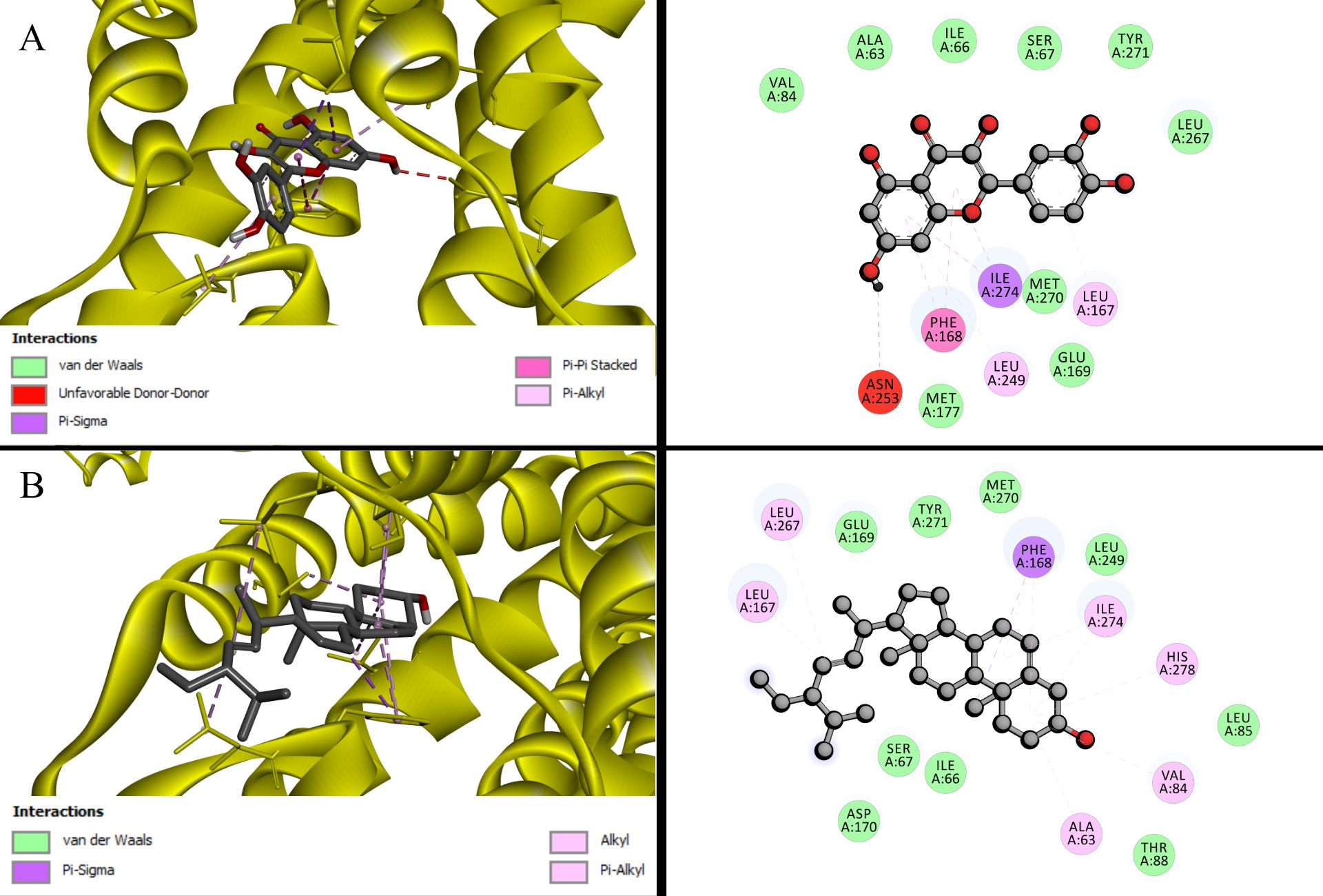 Figure 1: Adenosine A2A (5G53) interactions. (A) Quercetin, (B) Stigmasterol.