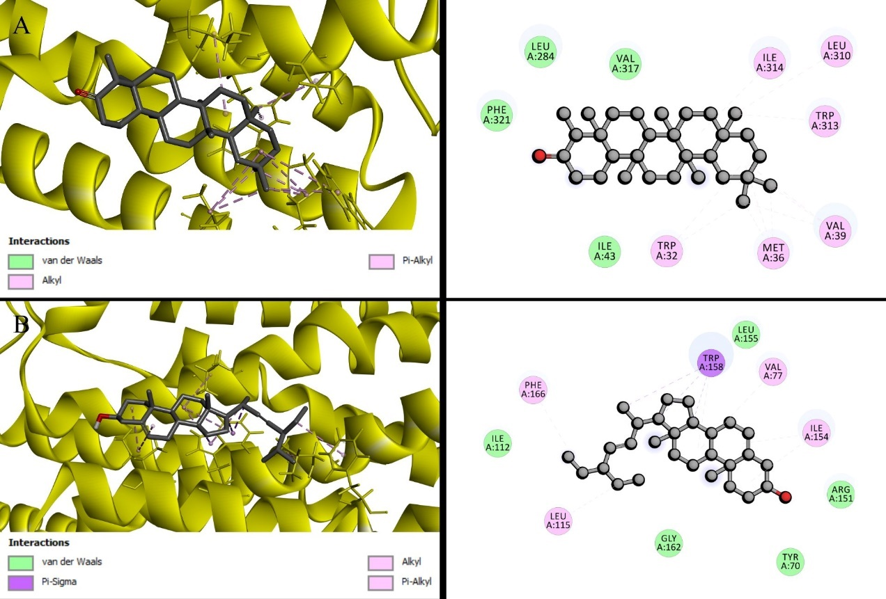 Figure 2: β2-Adrenergic Receptor (6KR8) Interactions. (A) Friedelin, (B) Stigmasterol.