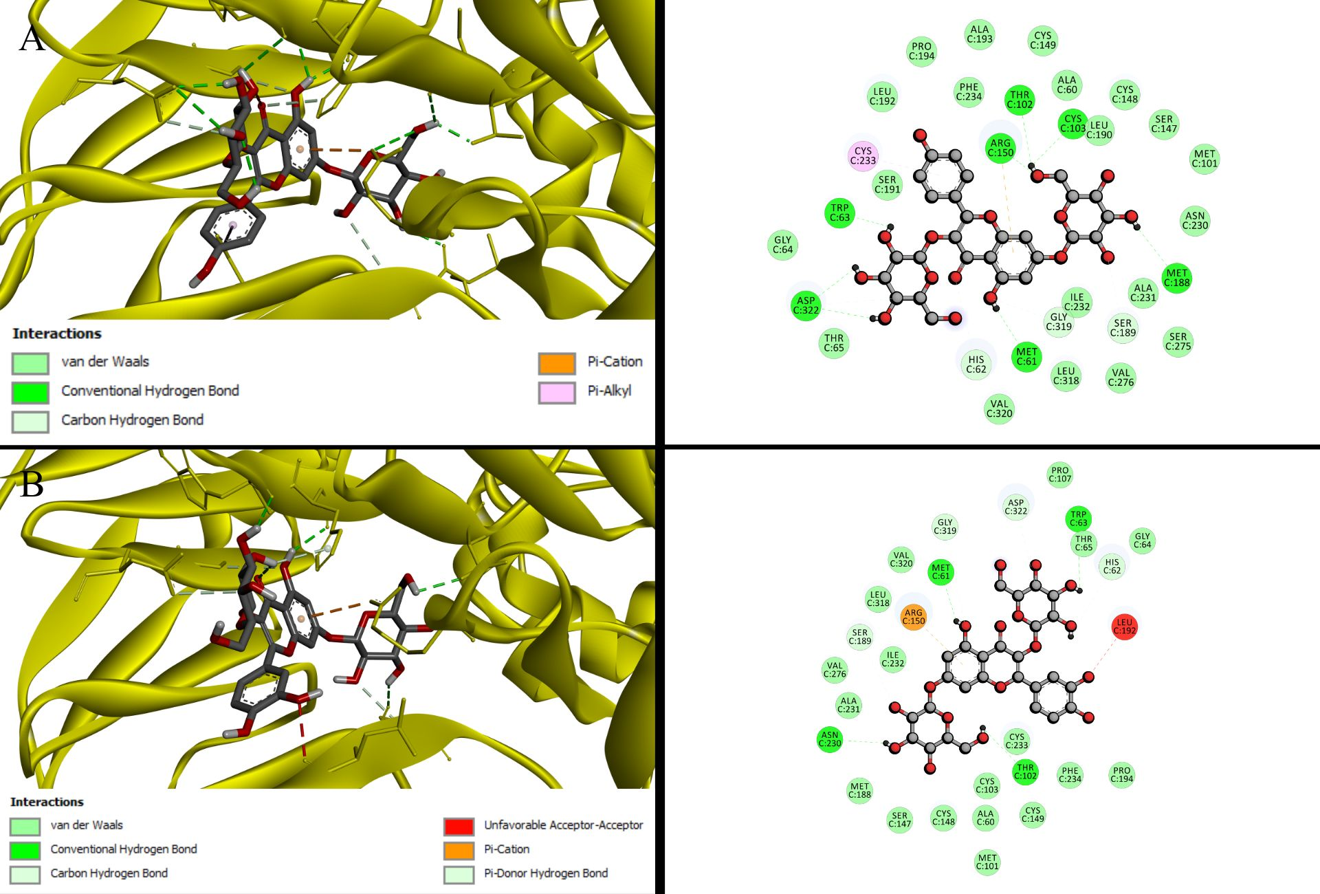 Figure 3: Angiotensin AT1—7F6G interactions. (A) Kaempferol-3,7-diglucoside, (B) Quercetin-3,7-diglucoside.